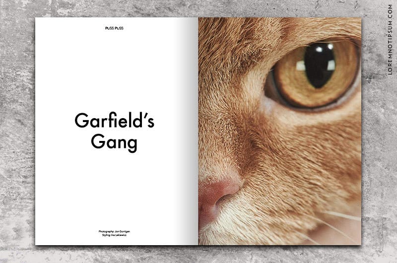puss-puss-magazine_issue03_01