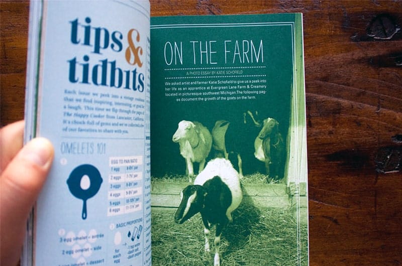 remedy-quarterly_issue05_04