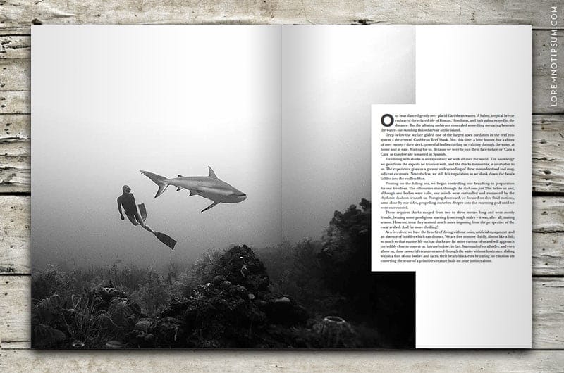 sidetracked-magazine_volume01_04