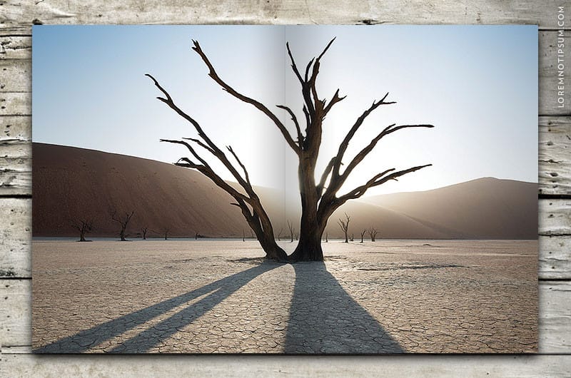 sidetracked-magazine_volume02_03