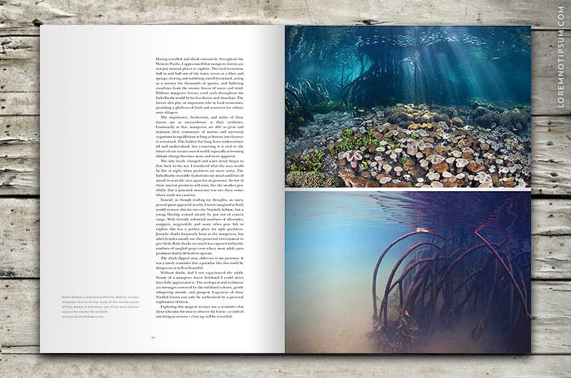 sidetracked-magazine_volume04_03