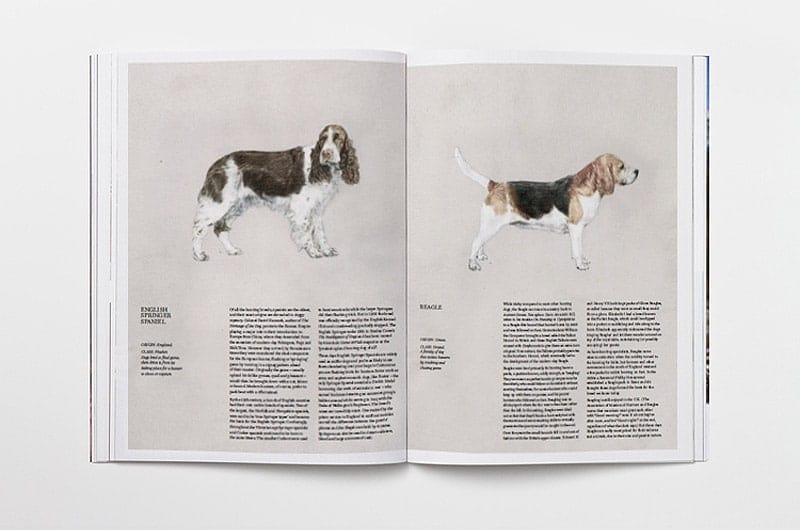 smith-journal_issue05_01