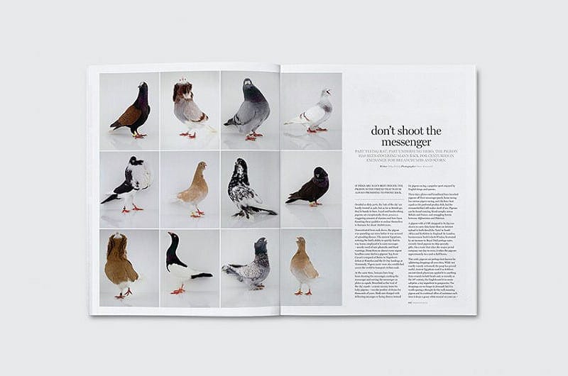 smith-journal_issue11_03