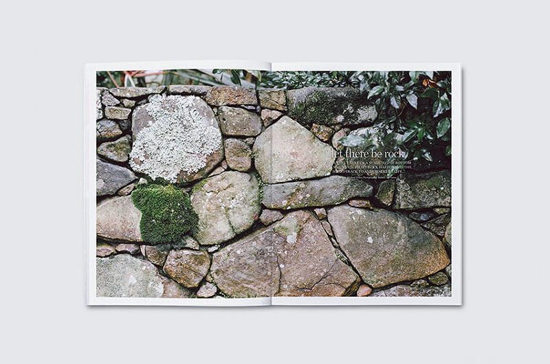 smith-journal_issue11_04