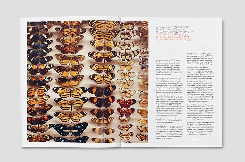 smith-journal_volume16_05