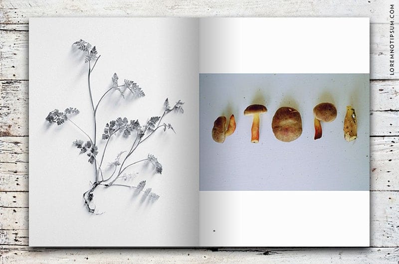 space-magazine_issue02_06