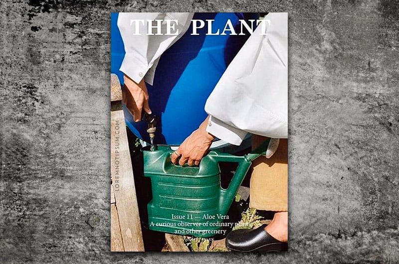 the-plant-journal_issue11_cover