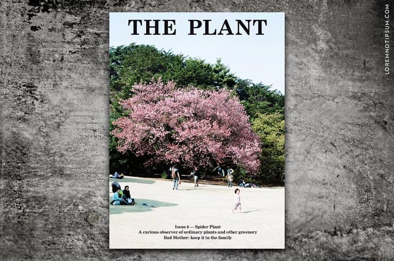 the-plant-journal_issue6_titel