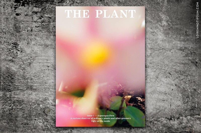 the-plant-journal_issue7_cover