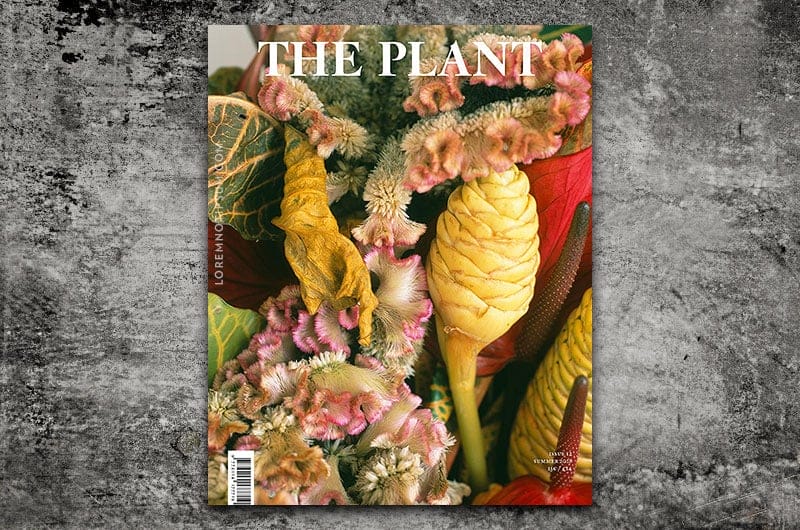 The Plant Magazine Issue 12 – loremnotipsum.com