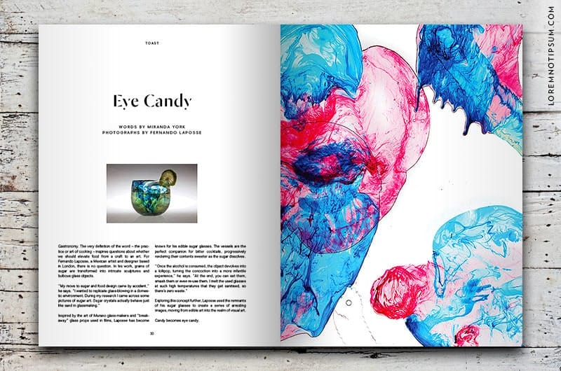 toast-magazine_issue01_10