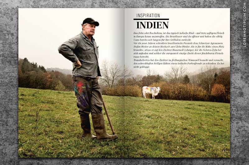 transhelvetica_ausgabe_08_13