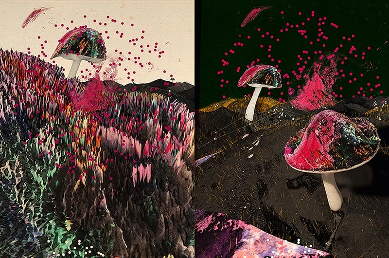 whatever-magazin_nr08_05