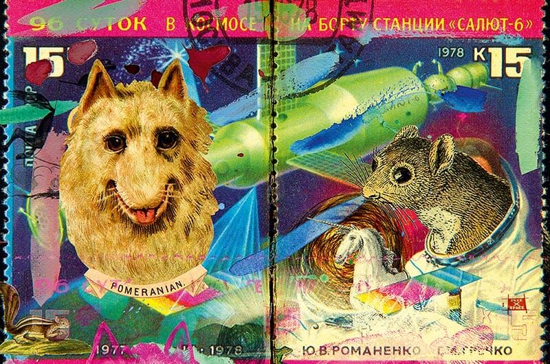 whatever-magazin_nr08_09