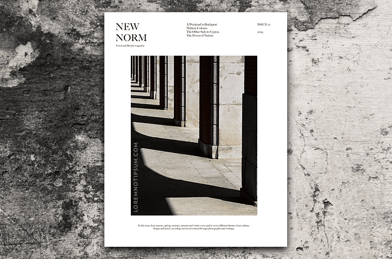loremnotipsum_new-norm-magazine_issue1_cover