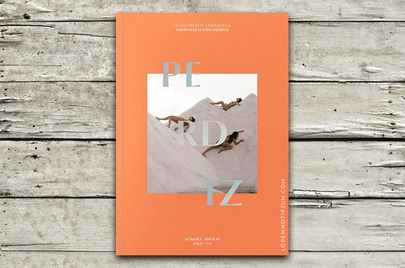 perdiz-magazine_issue08_cover