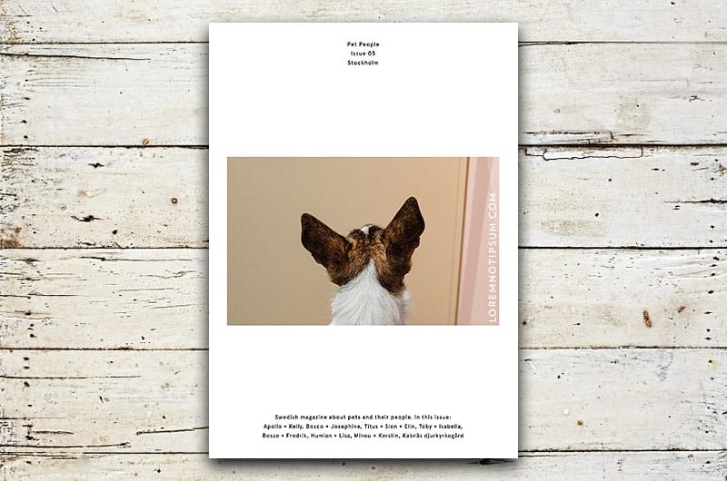 pet-people-magazine_issue03_cover