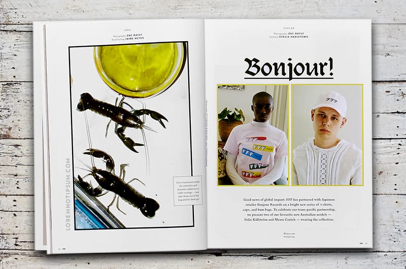 fff-zine-magazine_issue2_04