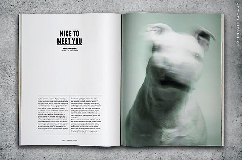 four-and-sons-magazine_issue01_07