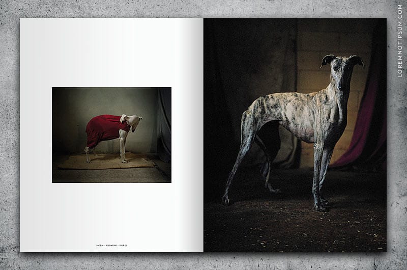 four-and-sons-magazine_issue03_03