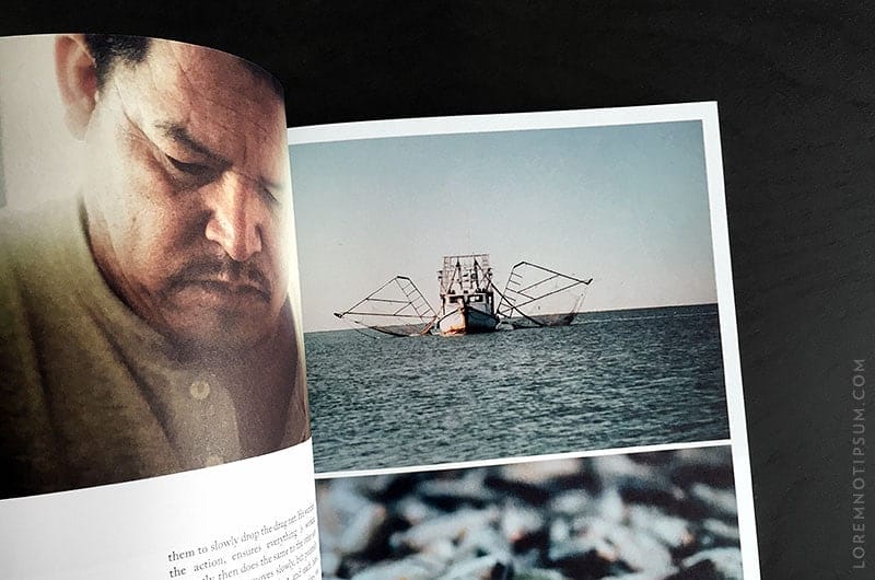 life-and-thyme-magazine_issue001_04