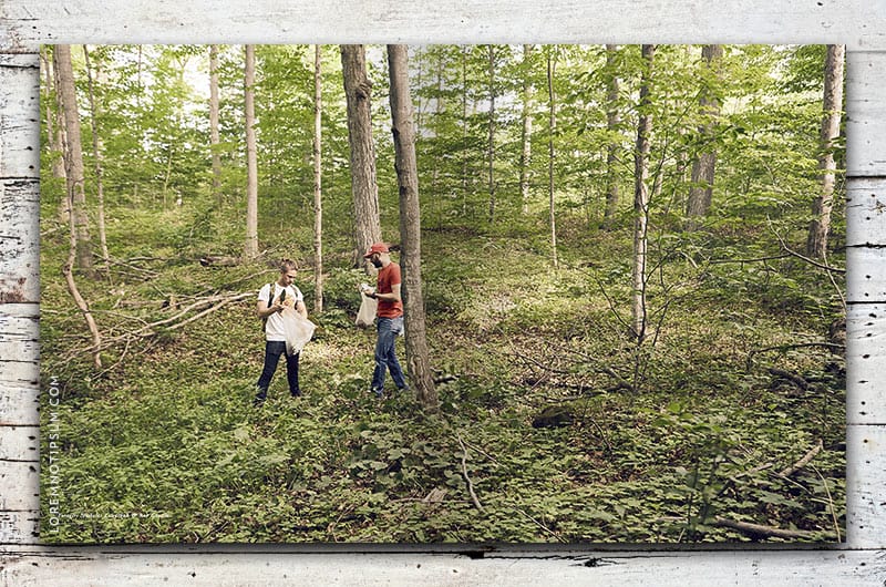 lodestars-anthology_issue6-canada_02