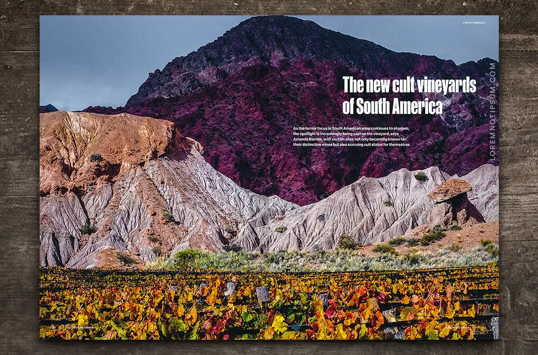 loremnotipsum_club-oenologique_issue9_14