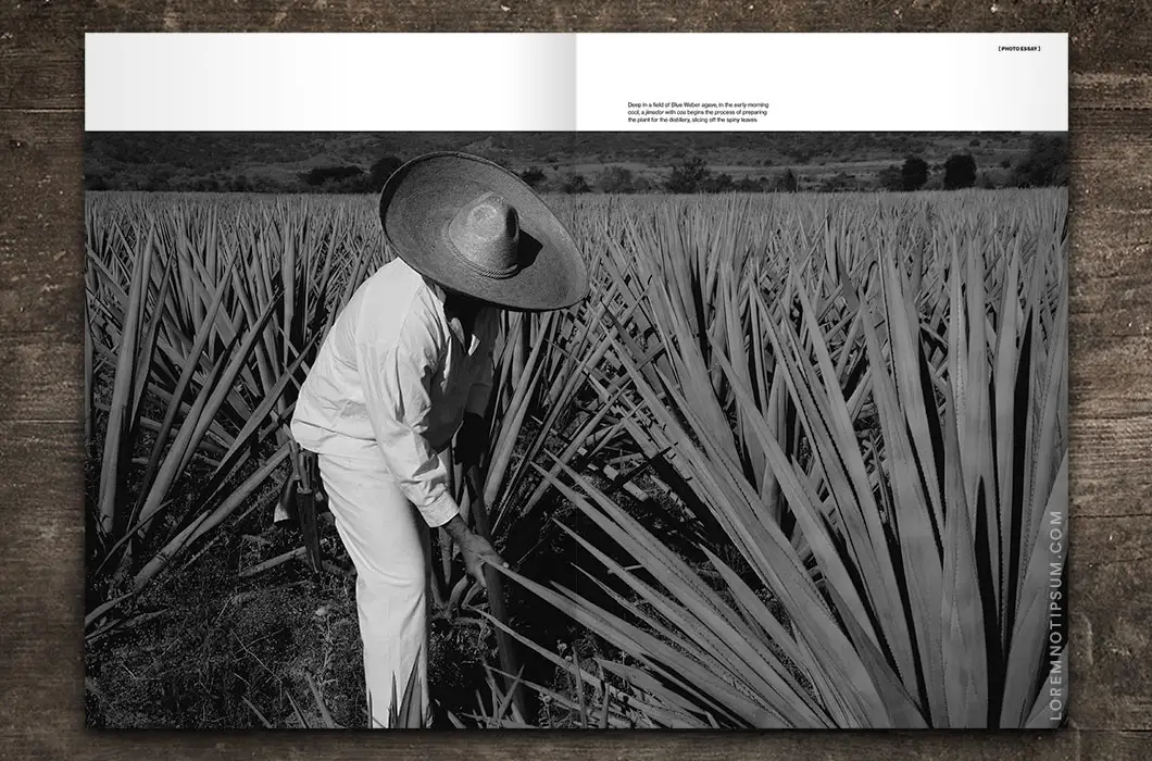 loremnotipsum_club-oenologique_issue9_16