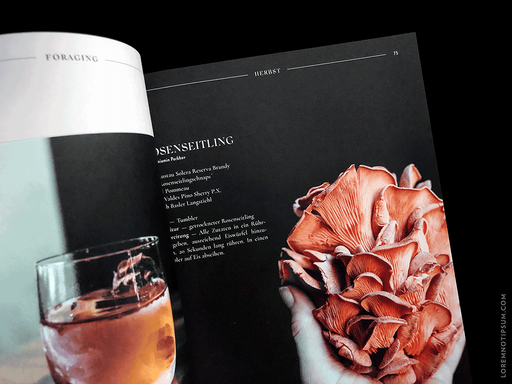 loremnotipsum_cocktailian-bookazine_edition1_19