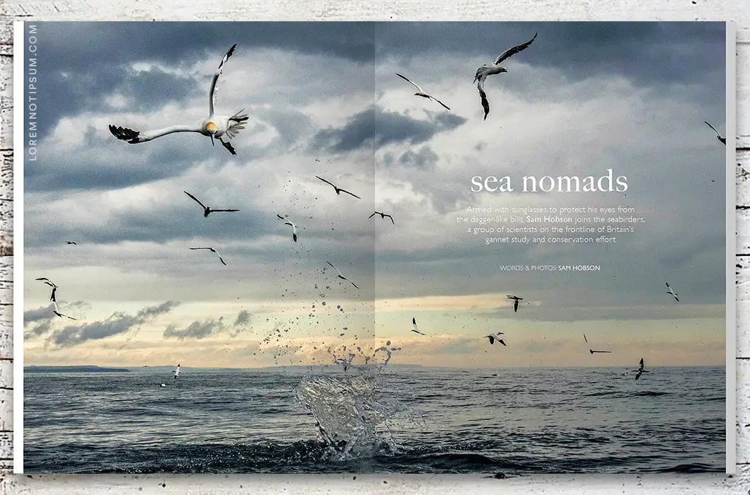 loremnotipsum_ernest-journal_issue10_04