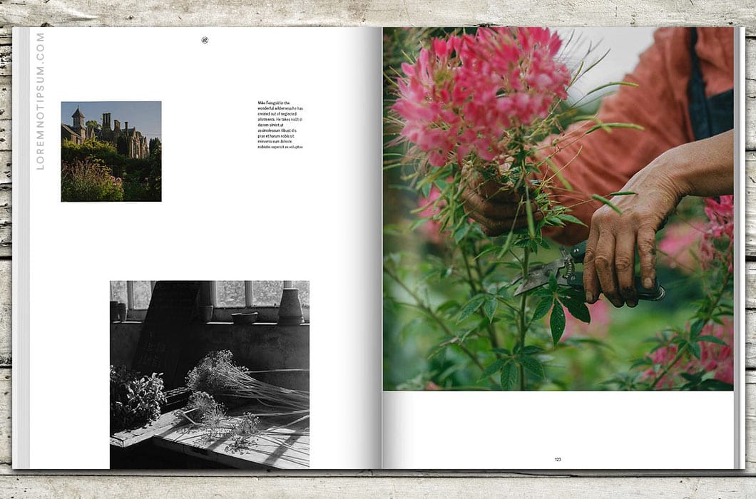 Hole & Corner Magazine Issue 20 (the Refocus Issue) – loremnotipsum.com