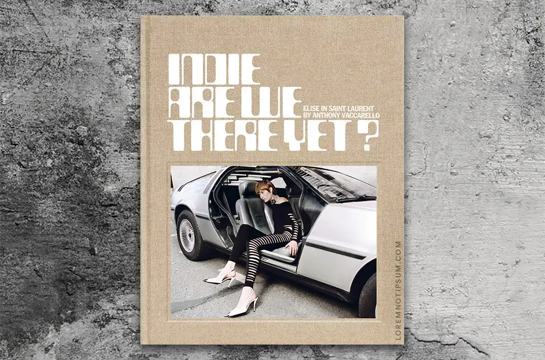 loremnotipsum_indie-magazine_issue66_cover-v4