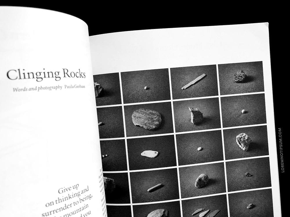 loremnotipsum_plant-magazine_issue15_01