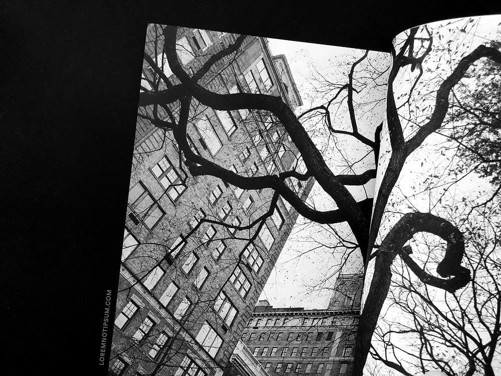 loremnotipsum_plant-magazine_issue15_04