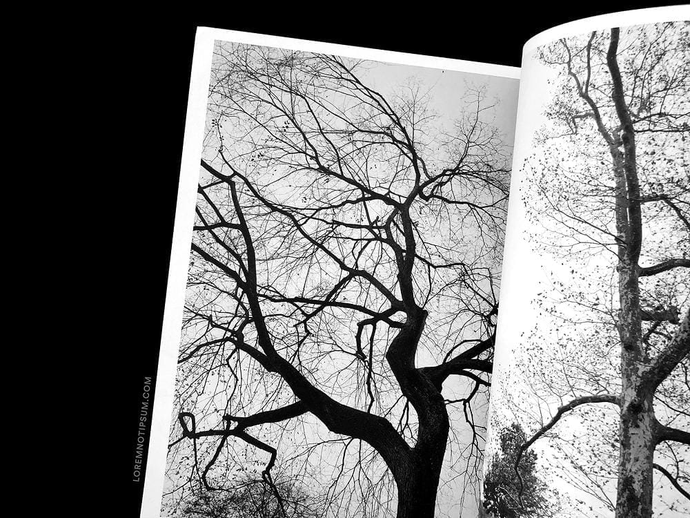 loremnotipsum_plant-magazine_issue15_06