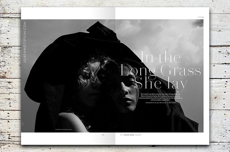 loremnotipsum_pleasure-garden-magazine_issue02_04