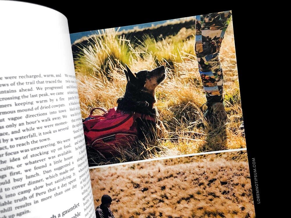 loremnotipsum_sidetracked-magazine_volume17_04-1