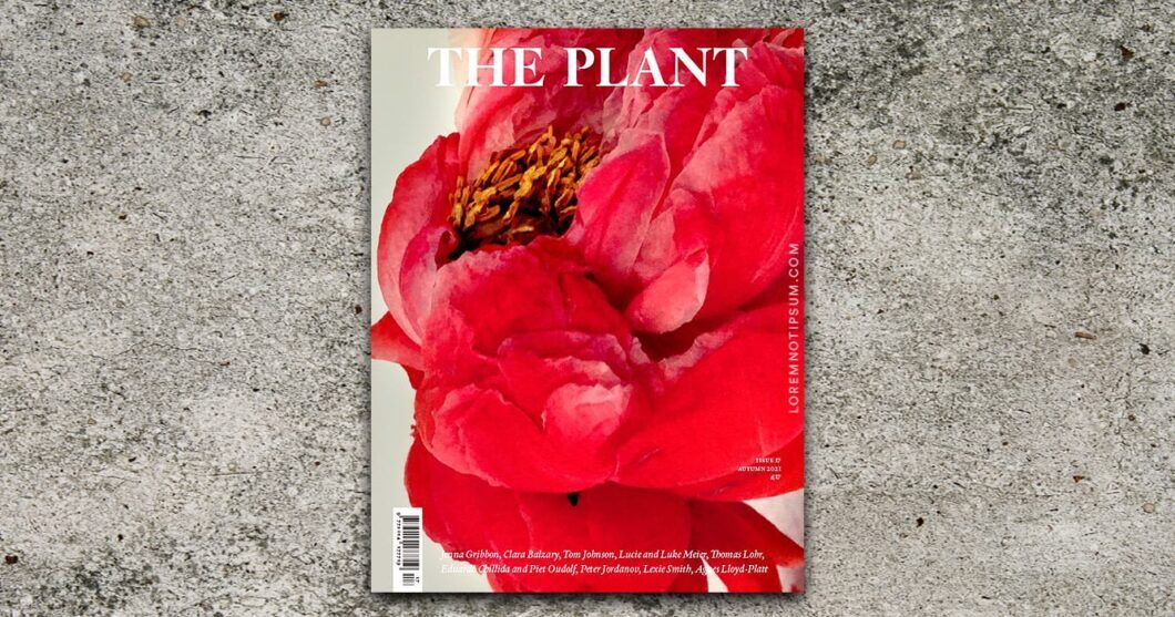 loremnotipsum_the-plant-magazine_issue17_cover-v3_opengraph.jpg
