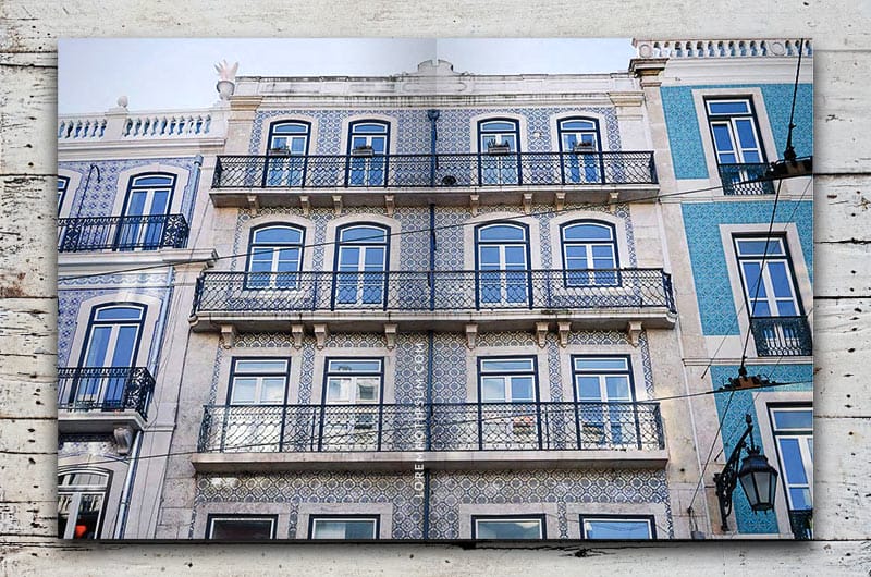 salt-and-wonder-magazine_issue1_01