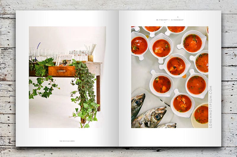 salt-and-wonder-magazine_issue1_04