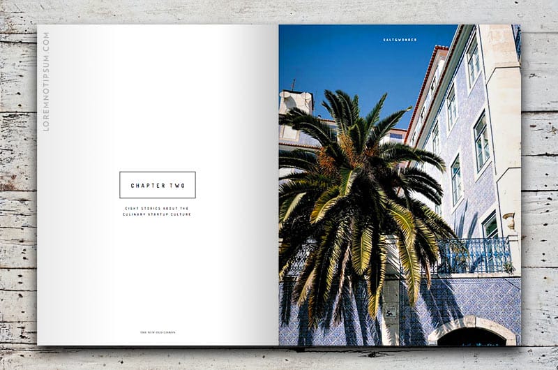 salt-and-wonder-magazine_issue1_18