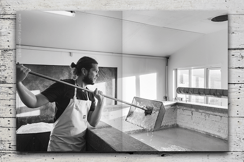 Salt & Wonder Magazine Issue 2 – loremnotipsum.com