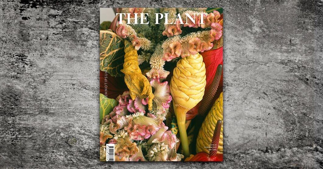 the-plant-magazine_issue12_opengraph.jpg