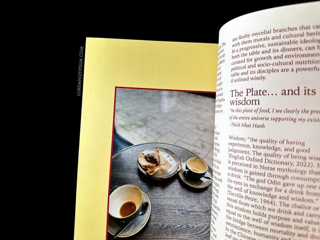 Nansen Magazine Issue 3 – loremnotipsum.com