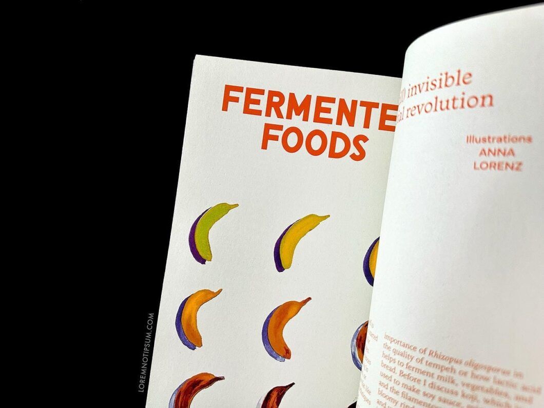 Nansen Magazine Issue 3 – loremnotipsum.com