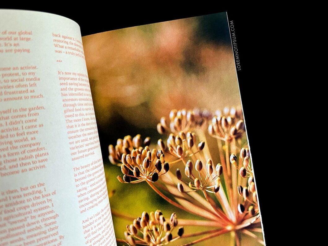 The Preserve Journal Issue 9 – loremnotipsum.com