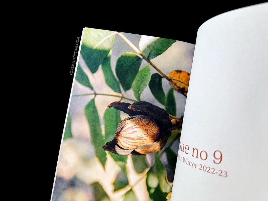 The Preserve Journal Issue 9 – loremnotipsum.com