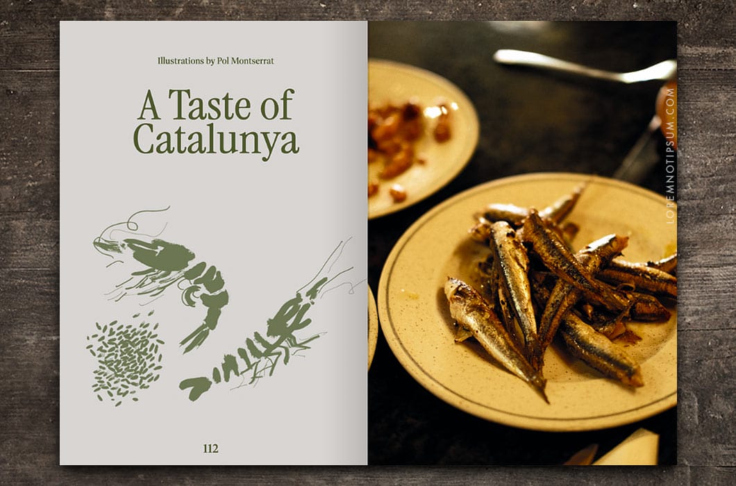 Entangled Landscapes Vol. 2 (Catalunya) – loremnotipsum.com