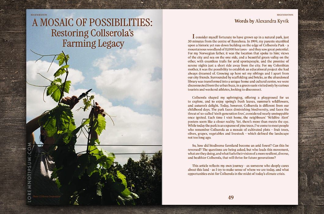 Entangled Landscapes Vol. 2 (Catalunya) – loremnotipsum.com