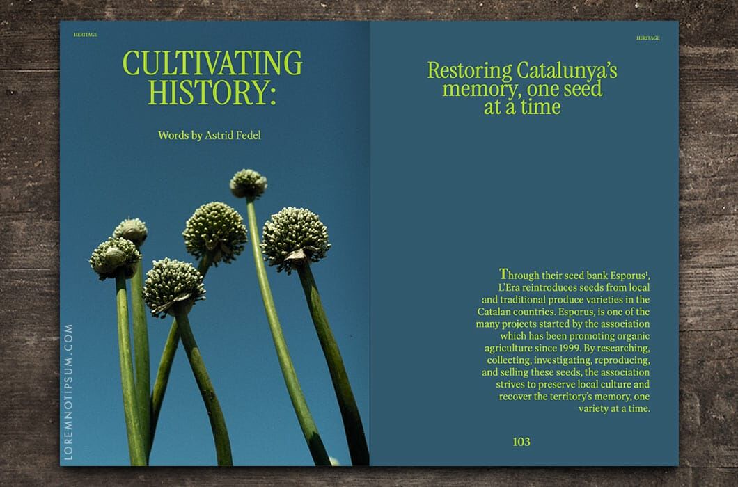 Entangled Landscapes Vol. 2 (Catalunya) – loremnotipsum.com